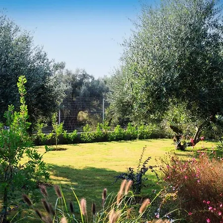 Torretta - Harmonia *